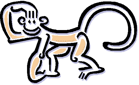Monkey