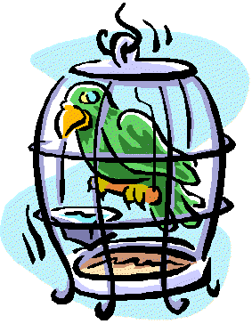 Parrot