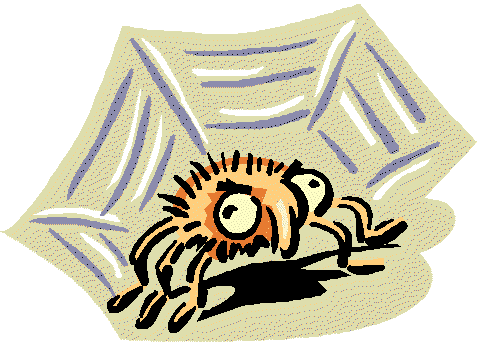 Spider